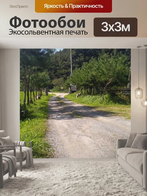 Фотообои Лес