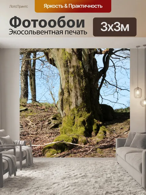 Фотообои Дерево