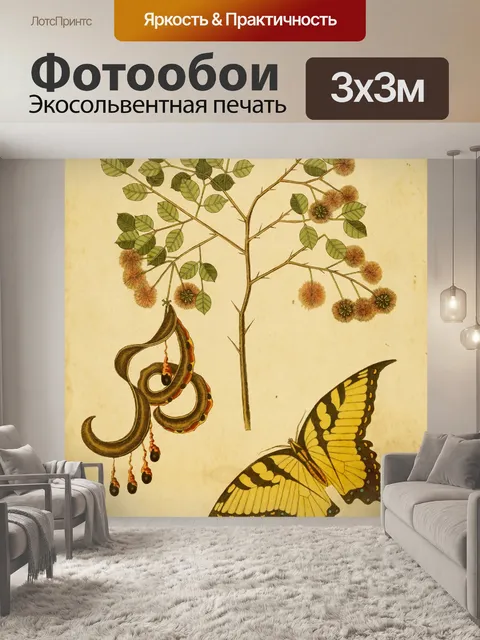 Фотообои Бабочка Винтажное Искусство