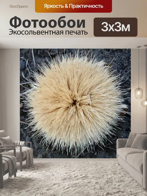 Фотообои Цветы