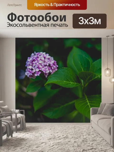 Фотообои Цветы