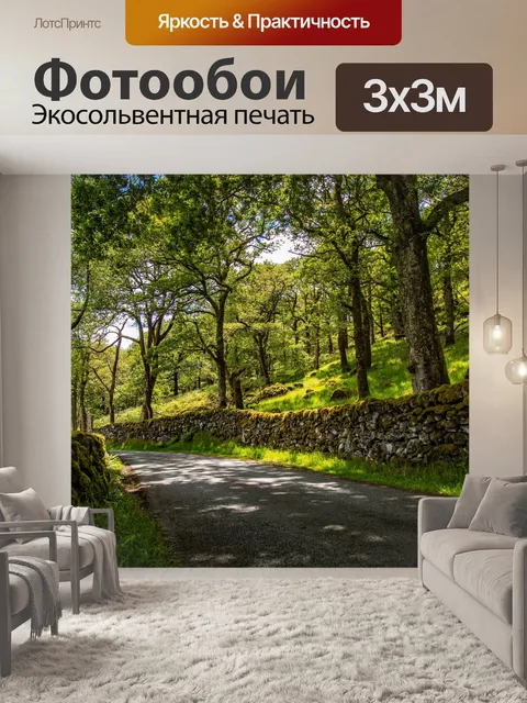 Фотообои Лесной путь