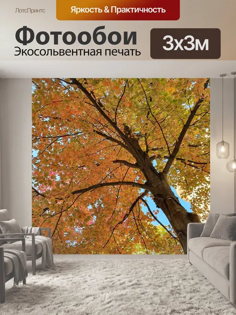 Фотообои Осень