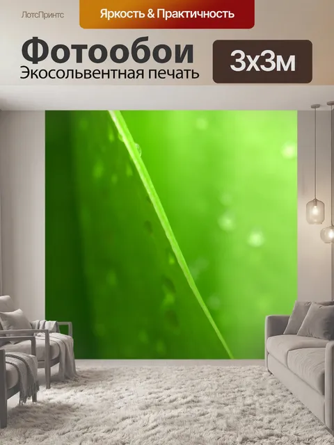 Фотообои Капля воды на листе