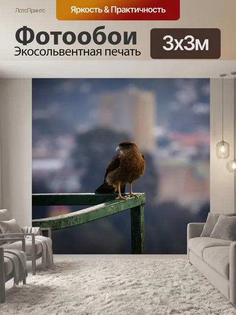 Фотообои Птицы текст
