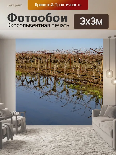 Фотообои Голые Отражение Orchards