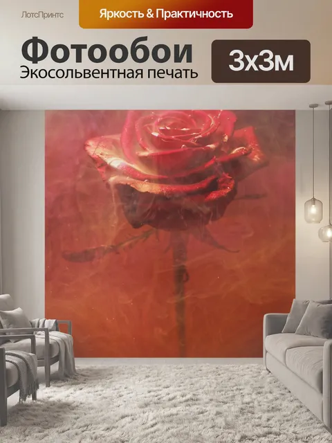 Фотообои Роза