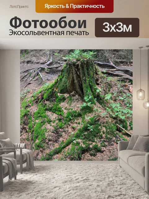 Фотообои Ствол
