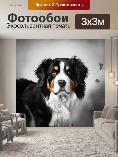 Фотообои в центре изображения находится бернский зенненхунд с внушительным выражением
