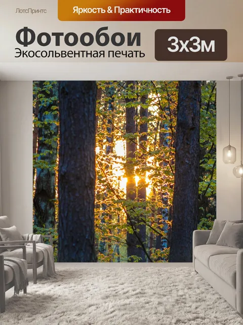Фотообои Лес