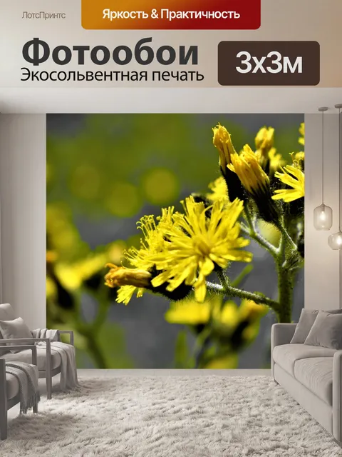 Фотообои Цветы
