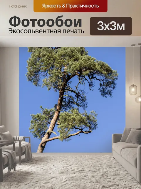 Фотообои Дерево, сосна
