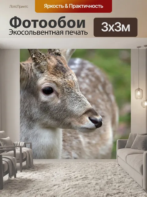 Фотообои Олень