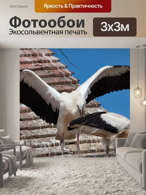 Фотообои Аист