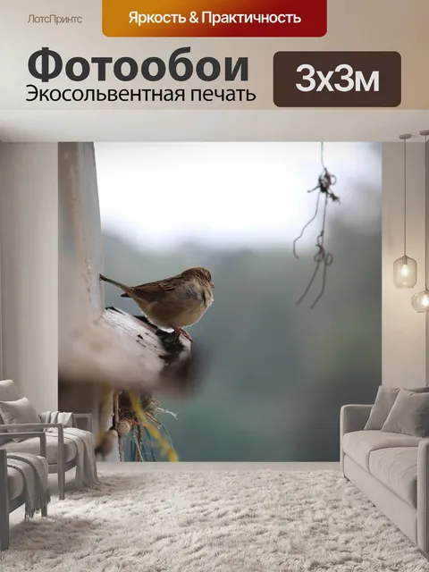 Фотообои Птица