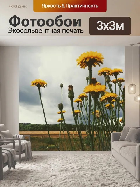 Фотообои Одуванчики