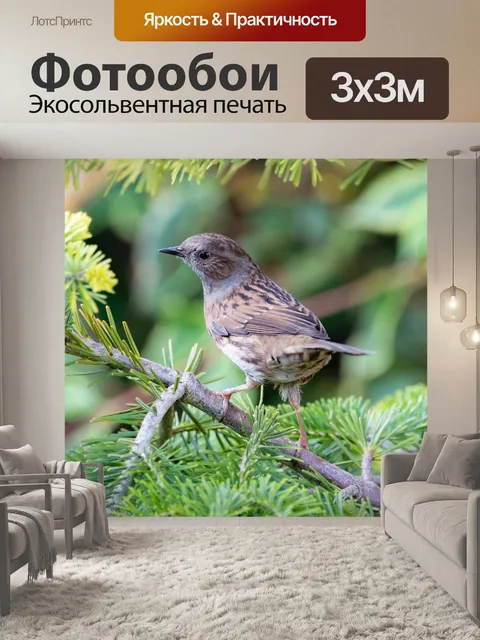 Фотообои Птица