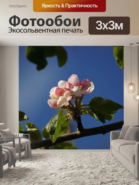 Фотообои Цветение вишни