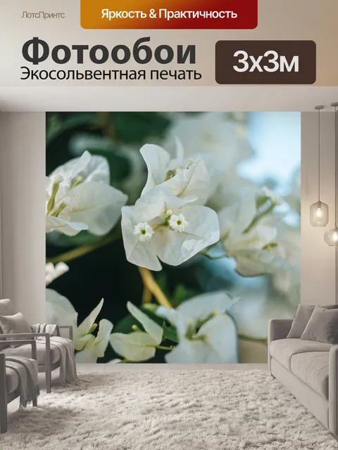 Фотообои Цветы