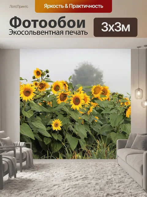Фотообои Подсолнухи