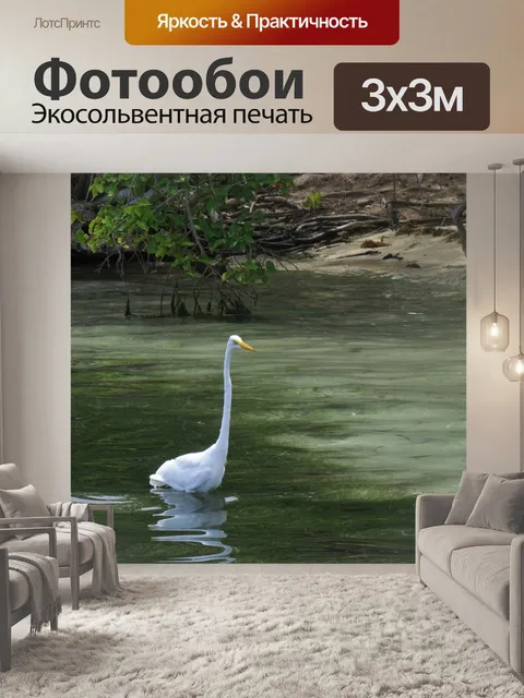 Фотообои Птица