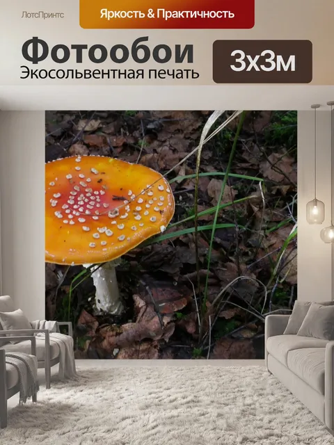 Фотообои Лес