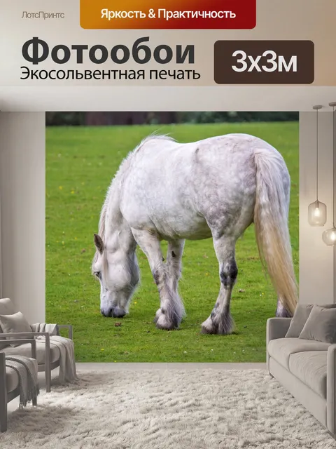 Фотообои Белая лошадь