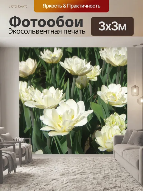 Фотообои Тюльпаны