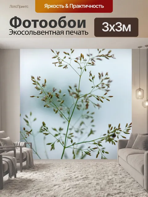 Фотообои Острие травы