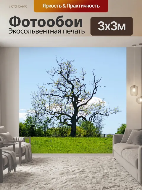 Фотообои Дерево