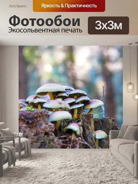 Фотообои Лес