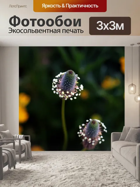 Фотообои Природа