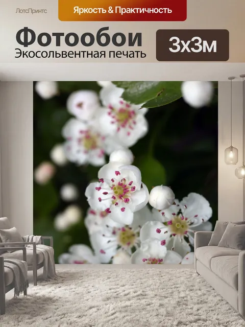 Фотообои Белая весна цвести