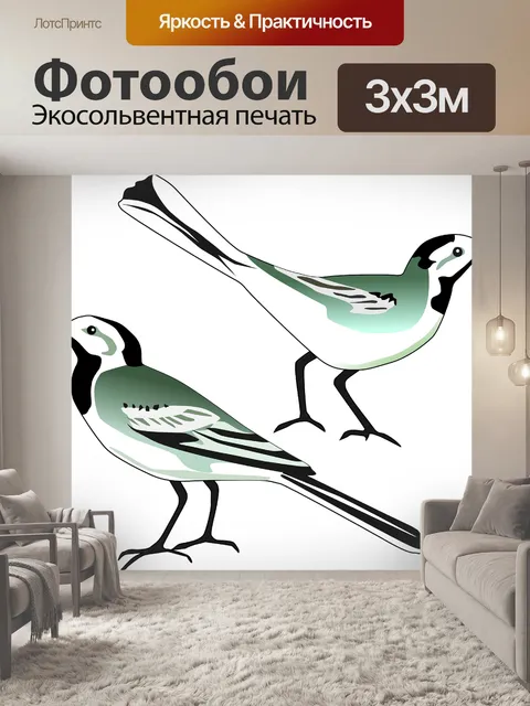 Фотообои Pied трясогузка