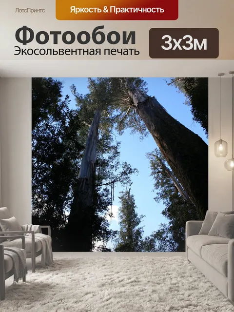 Фотообои Деревья