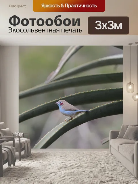 Фотообои Птица