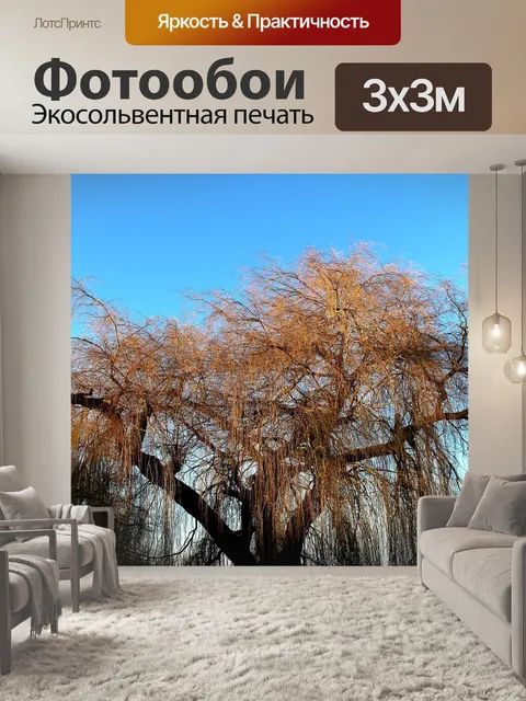 Фотообои Пастбище