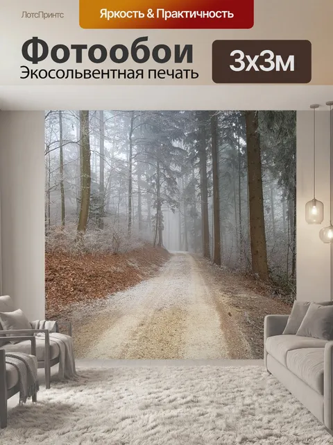 Фотообои Лесная тропа