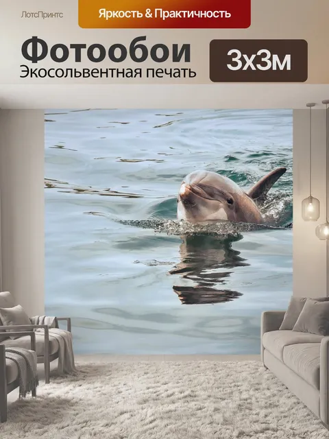 Фотообои Дельфин
