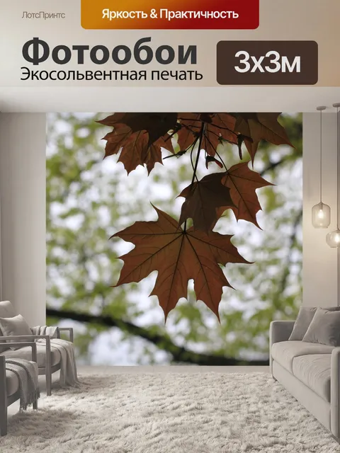 Фотообои Кленовое дерево