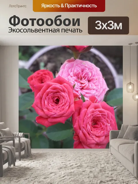 Фотообои сад розовых роз