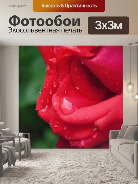 Фотообои Розы