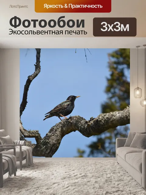 Фотообои Природа