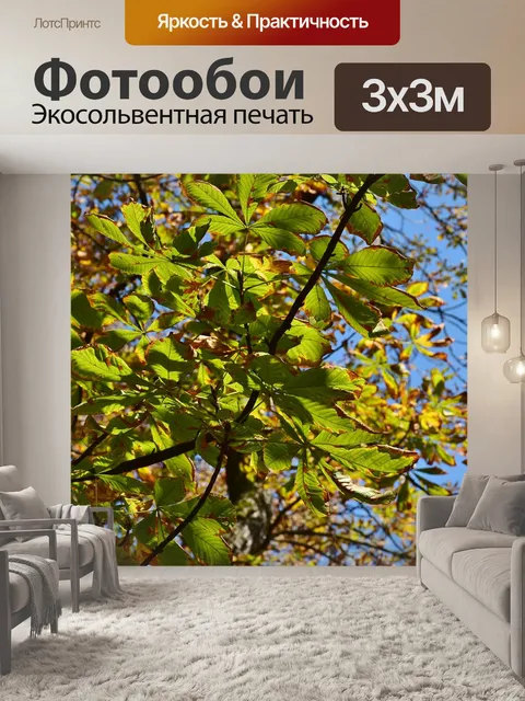 Фотообои Каштан