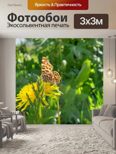 Фотообои Бабочка