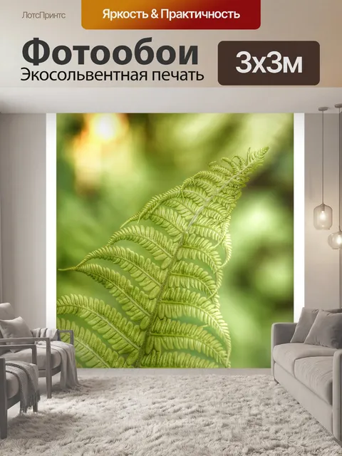 Фотообои Листва листьев папоротника макрос