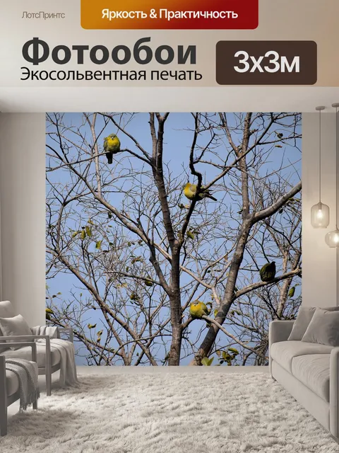 Фотообои Птицы