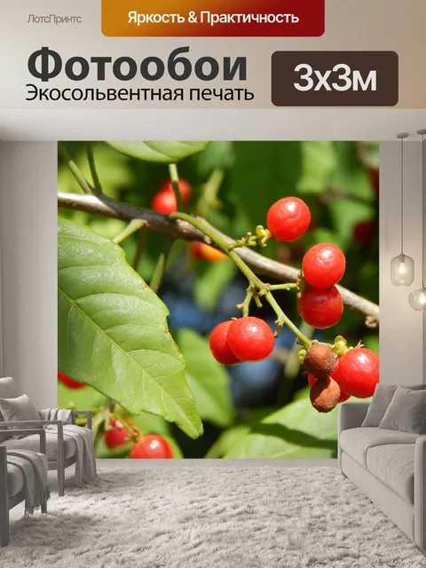 Фотообои Ягоды