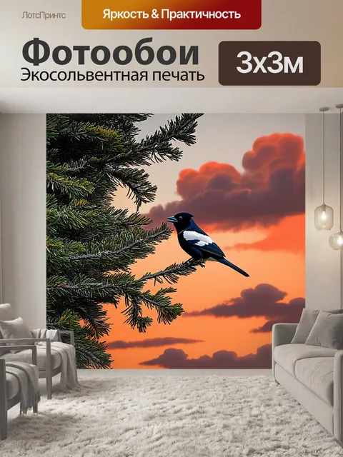 Фотообои сорока, причесывающая свои перья в свете заката, сидит на высоком дереве