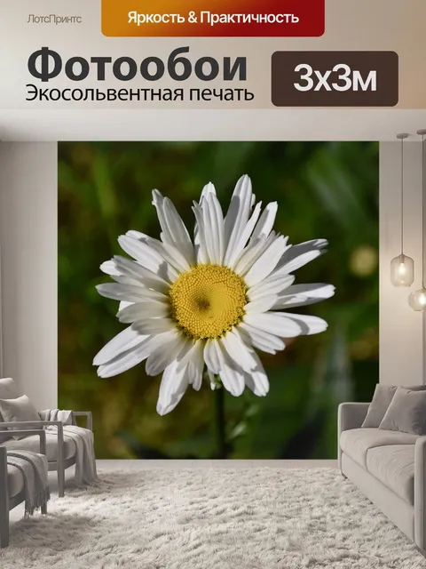 Фотообои Цветок
